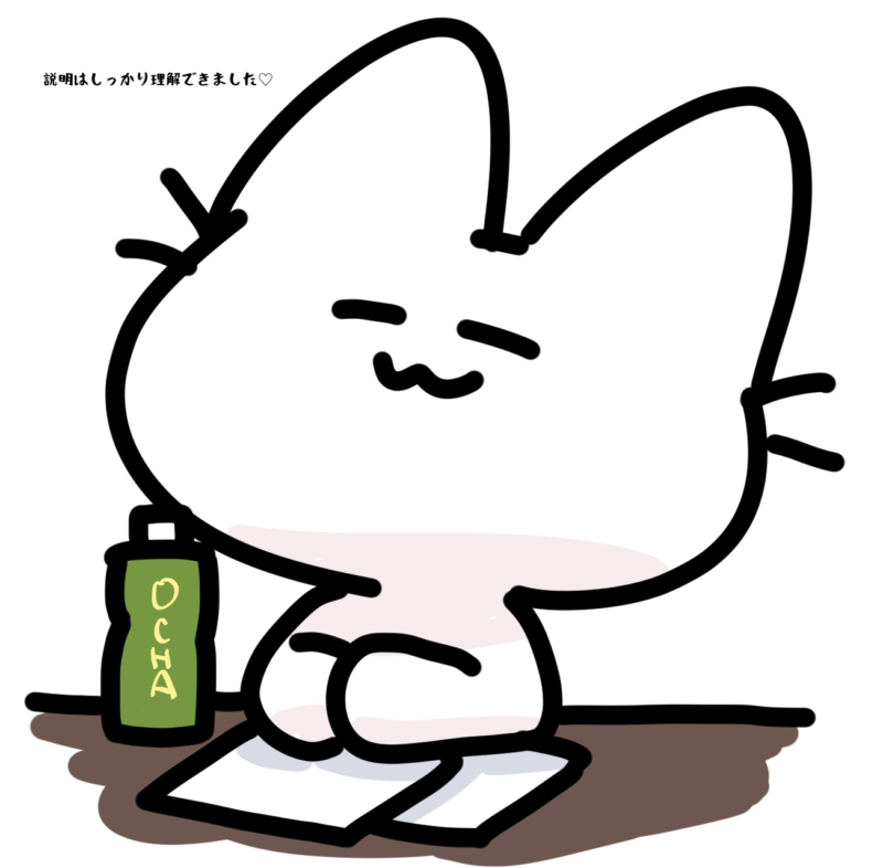 説明はしっかり理解できました