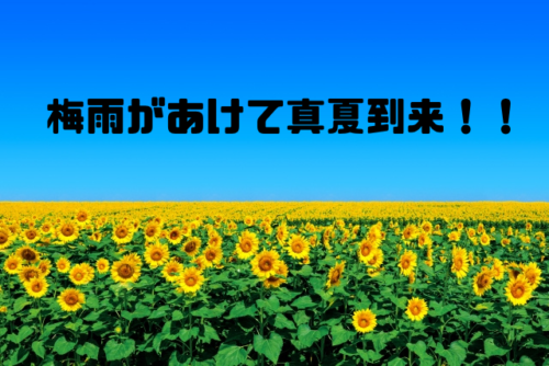 梅雨が明けで真夏到来