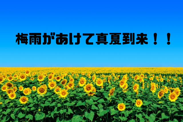 梅雨が明けで真夏到来