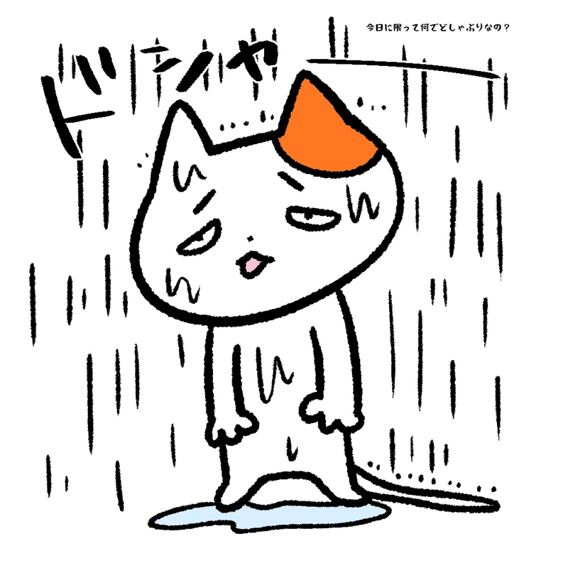 今日に限って何でどしゃぶりなの