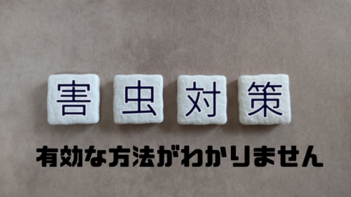 有効な方法がわかりません