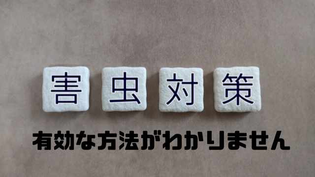 有効な方法がわかりません