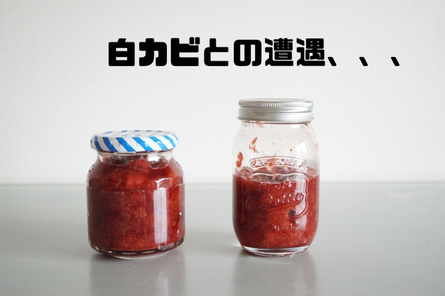 白カビとの遭遇