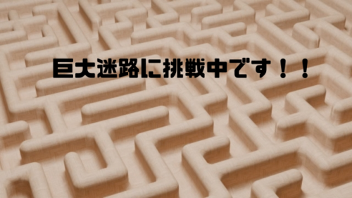 巨大迷路に挑戦中です