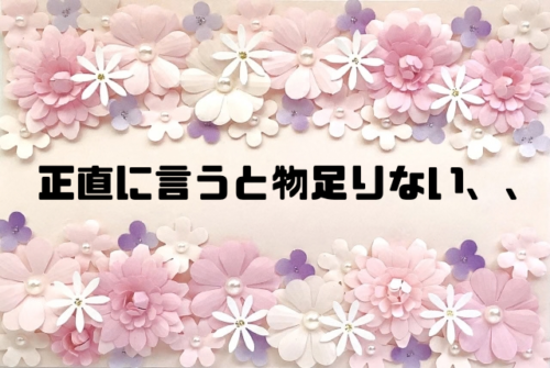 正直に言うと物足りない