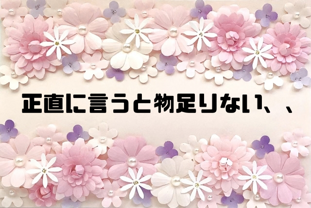 正直に言うと物足りない